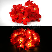 Red colour frangipani LED fairy lights
