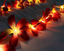 Red colour frangipani LED fairy lights