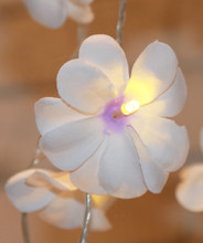 White purple colour frangipani LED fairy lights