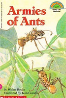 Armies of Ants