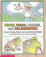 Frogs, Toads, Lizards, and Salamanders