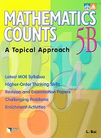 Mathematics Counts 5B, a Topical Approach, workbook