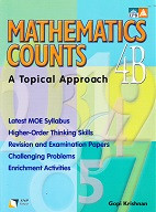 Mathematics Counts 4B, a Topical Approach, workbook