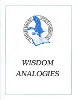 Wisdom Analogies, workbook