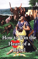 How to Win the Heart of a Rebel (SOL06855)