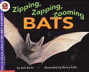 Zipping, Zapping, Zooming BATS