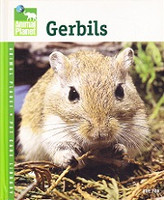 Gerbils