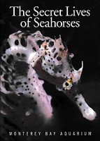 Secret Lives of Seahorses