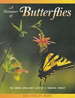 Shimmer of Butterflies-Magical Insect's Brief Brilliant Life