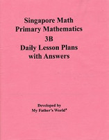 Singapore Primary Mathematics 3B Daily Lesson Plans