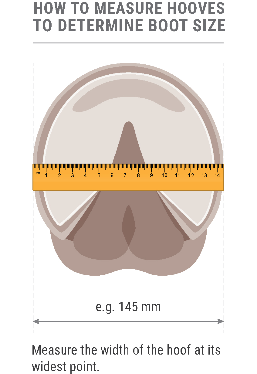 measuring-hoof-diagram-for-boots-for-no-table-2-01.jpg