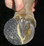 the bottom of the hoof showing the foal extension in place
