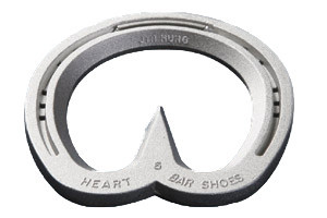 Jin Hung heart bar shoes -  aluminum