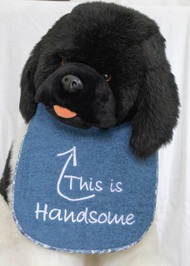 This is Handsome Dog Drool Bib