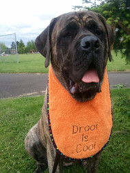 Large orange terry bib