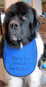 Large royal blue terry bib