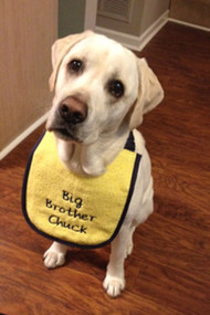 Puppy size yellow drool bib