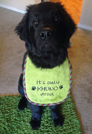 Medium lime green terry bib