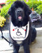 large white terry bib