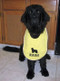 large yellow terry drool bib