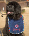puppy navy terry bib