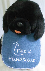 This is Handsome Dog Drool Bib Special Order