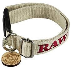 Raw Dog Collar