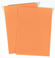 JEJE Extra Sticky A4 Double-Sided Adhesive Sheets Transparent 2-Pack Transparent with Red Liners