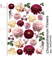Dress My Craft Transfer Me- Chrysanthemum Flowers
