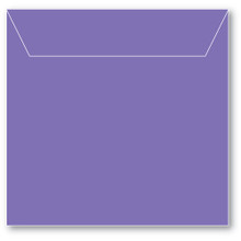 Memory Box- 50 Small Storage Pouch Violet SB1009