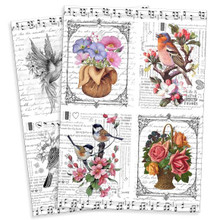 Little Birdie Crafts- A4 Decoupage Papers- Chirps and Blossoms- 4 sheets