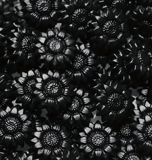 Sealing Wax Black Sunflower Shape 100pcs/bag