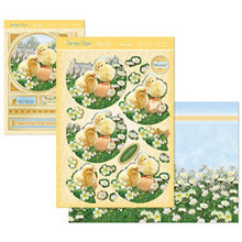 Hunkydory Spring Days & Country Life - Easter Chicks - Deco-Large Set Card Kit