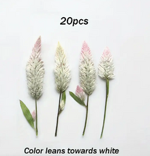Pressed Plants 20pc Celosia Pressed Flower Sprigs Pressed004 Leaning Toward White