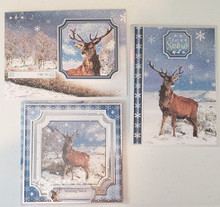 Live Stream Work Along Class Kit -- 2020 Seasonal Stag Card Kit - August 13, 2020