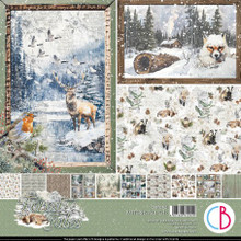 Ciao Bella 12"x 12" Patterns Paper Pad- 8 Double-sided papers- Forest Tales