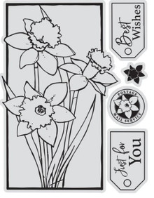 Couture Creations - Framed Daffodils Stamp & Colour Outline Stamps (5pc)