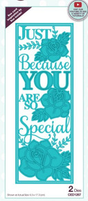 Creative Expressions- Sue Wilson- Slimline All-In-One- You Are So Special Craft Die