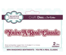 Creative Expressions- Sue Wilson- Mini Shadowed Sentiments- You're A Real Classic Craft Die