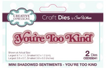 Creative Expressions- Sue Wilson- Mini Shadowed Sentiments- You're Too Kind Craft Die