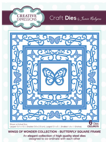 Creative Expressions- Jamie Rodgers- Wings of Wonder Collection- Butterfly Square Frame Craft Die
