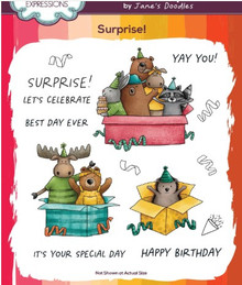Creative Expressions- Jane's Doodles A6 Clear Stamp Set- Surprise!
