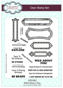 Creative Expressions- A5 Clear Stamp Set- Wild About You