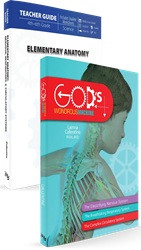 Elementary Anatomy: Nervous, Respiratory, and Circulatory Systems Set