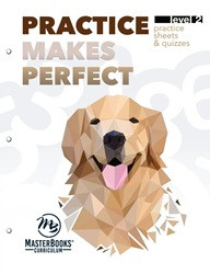 Practice Makes Perfect: Level 2
