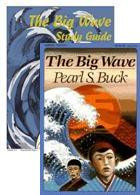Big Wave Guide/Book