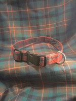 Tartan Collar - Medium