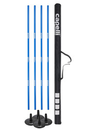 NORTH POLK UNITED POLES  SET OF 4 PROMO BLUE WHITE