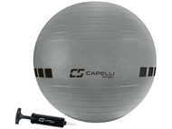 FITNESS 65CM EXERCISE BALL -- SILVER