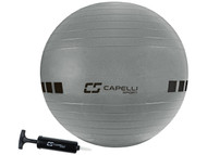 KC COMETS 65 CM EXERCISE BALL -- SILVER